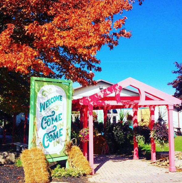 NiagaraWineToursInt tweet media