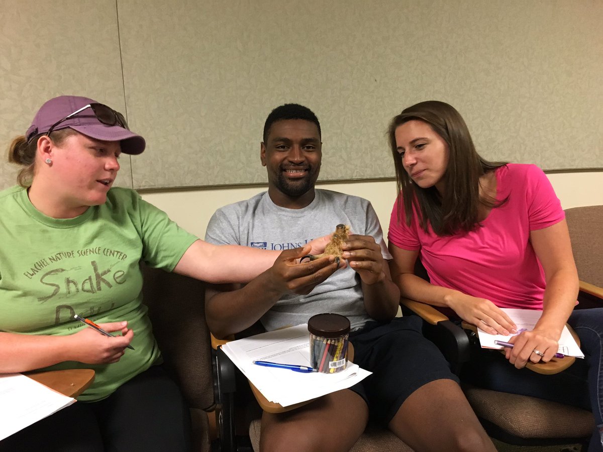 FCS STEM tweet media