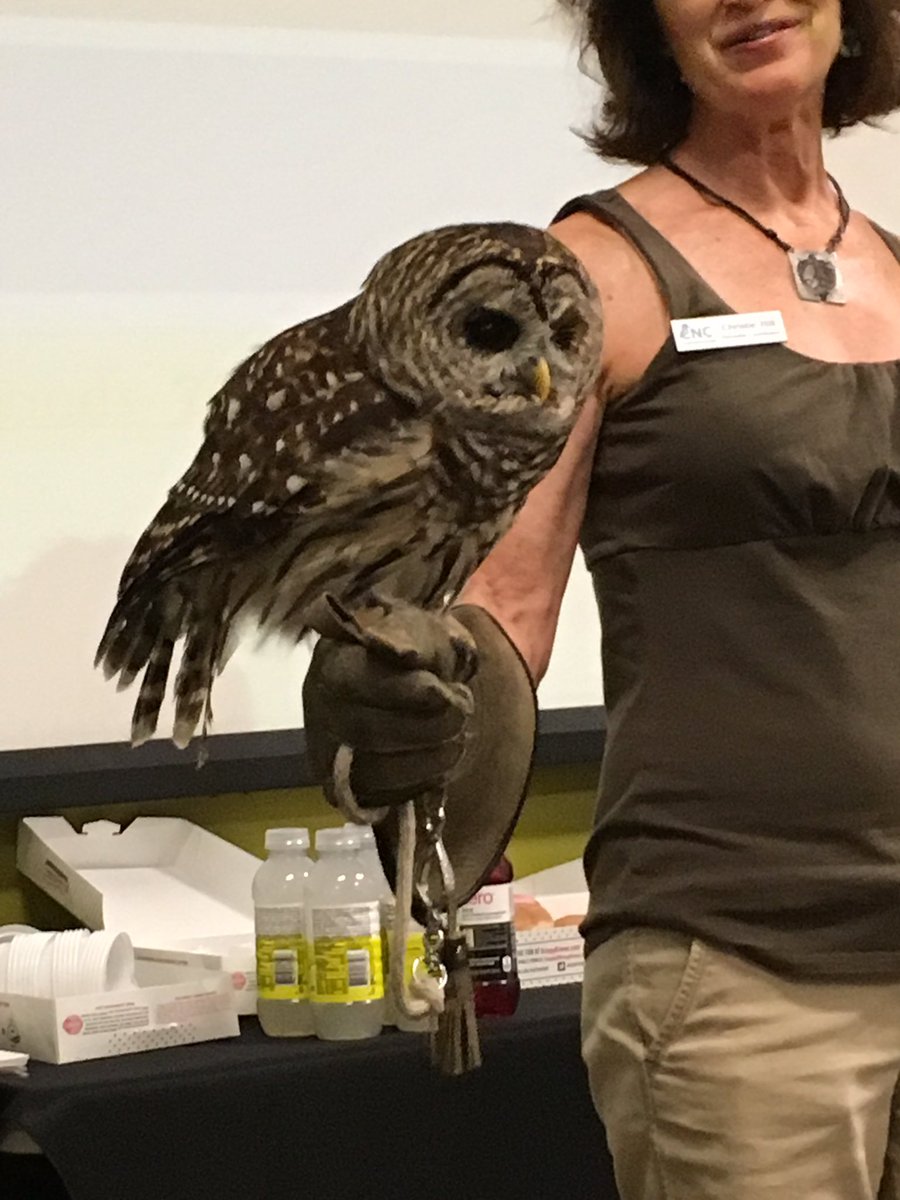 FCS STEM (@fultonstem) on Twitter photo FCS teachers discussing biomimckry  with <a href="/CNCNature/">Chattahoochee Nature Center</a>  @donnascience FCS teachers discussing biomimckry  with <a href="/CNCNature/">Chattahoochee Nature Center</a>  @donnascience