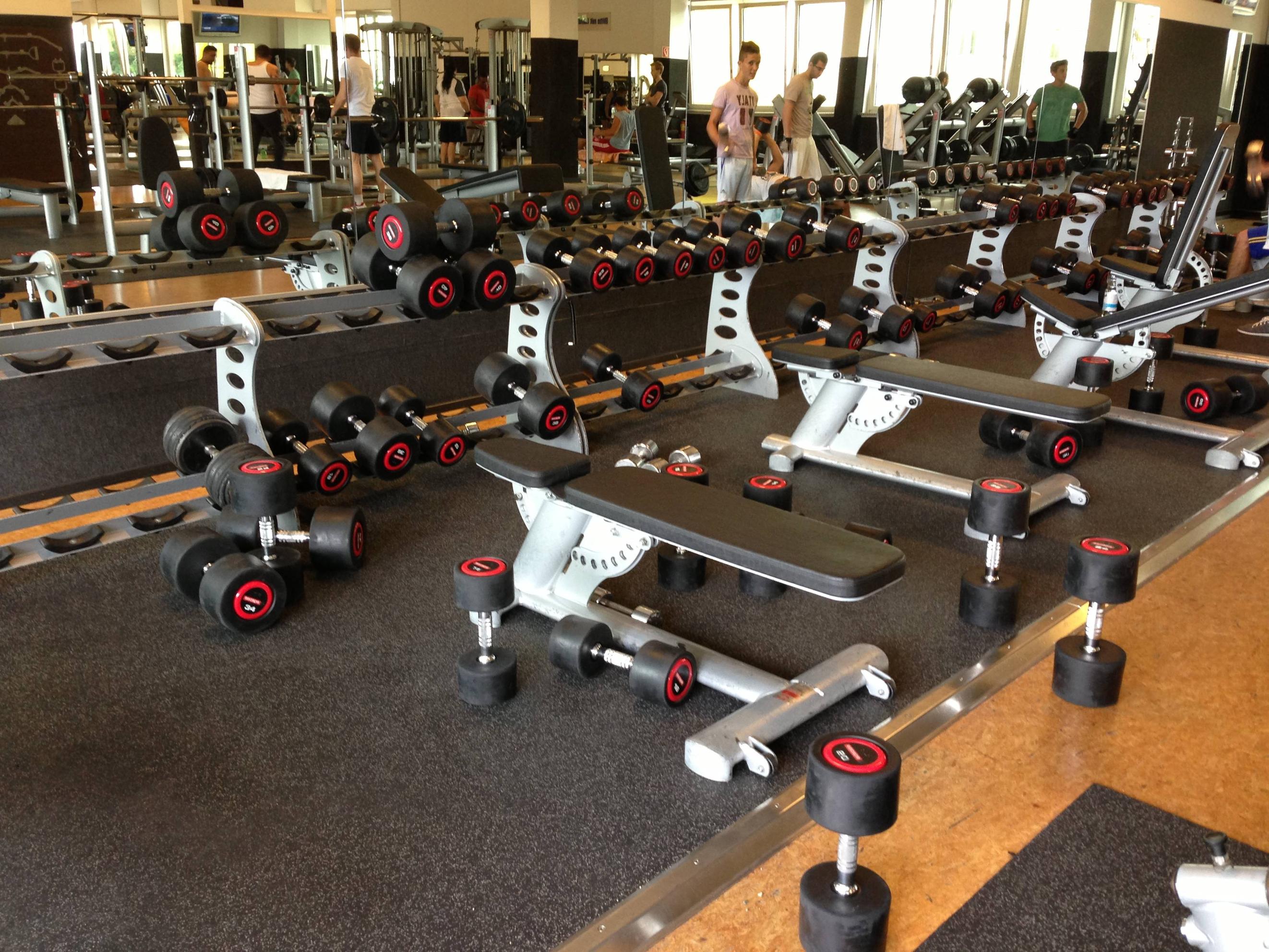 Dw 2024 fitness gyms