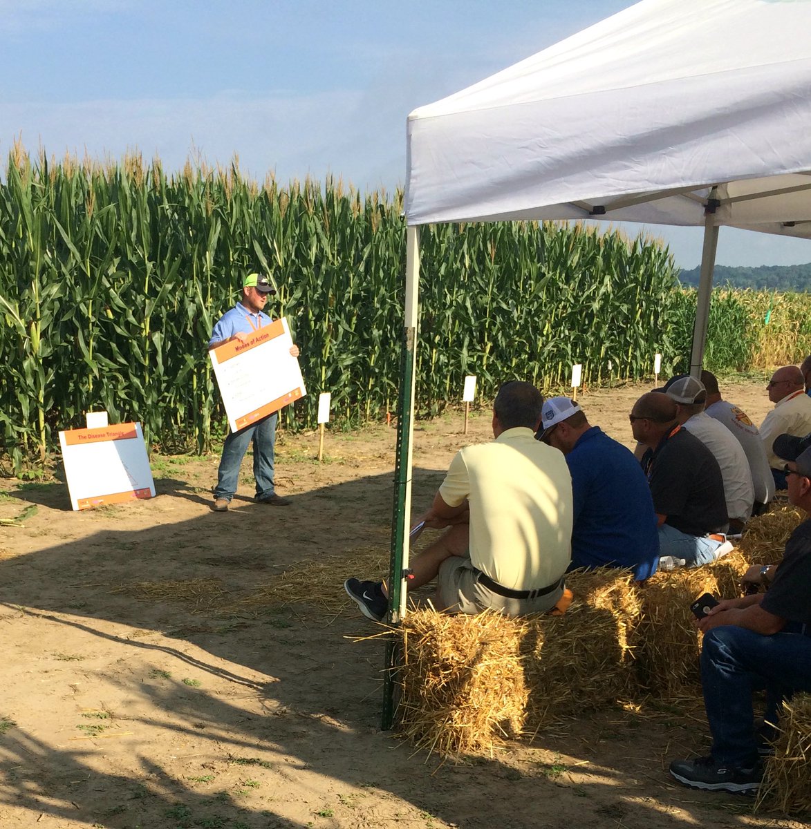 DavidwWolfe's tweet photo. Benefits & options for foliar fungicides & nutrition w/ @HorineCameron @MFA_Inc #TrainingCamp #YieldTrak https://t.co/3vH9vBhNAE