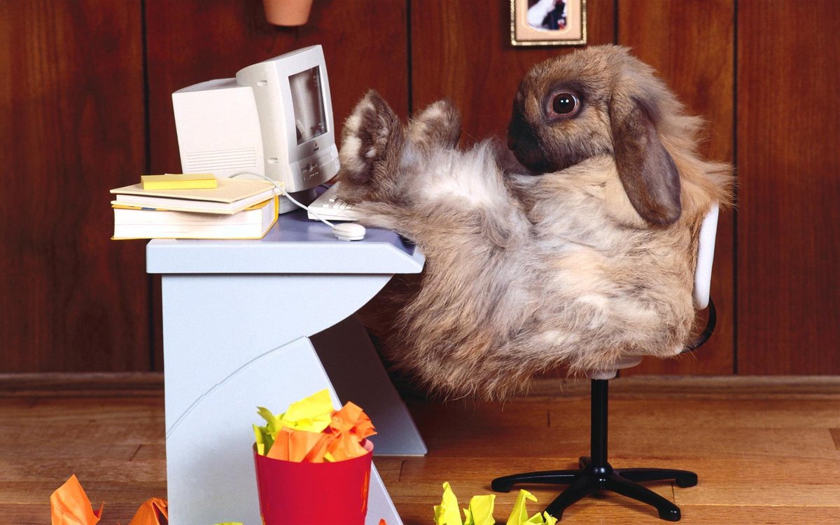 Kick back and stay tuned for some exciting Members-Only special promotions coming soon!