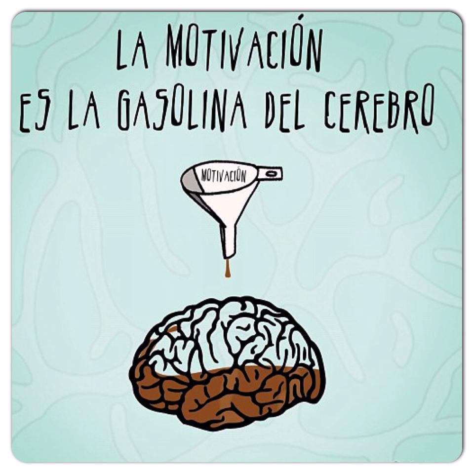 futbolrf's tweet photo. La ilusión por empezar,no tiene relación con la categoría,ni edad de jugadores.Ánimo a los ilusionados #entrenadores https://t.co/XREksnuHyd