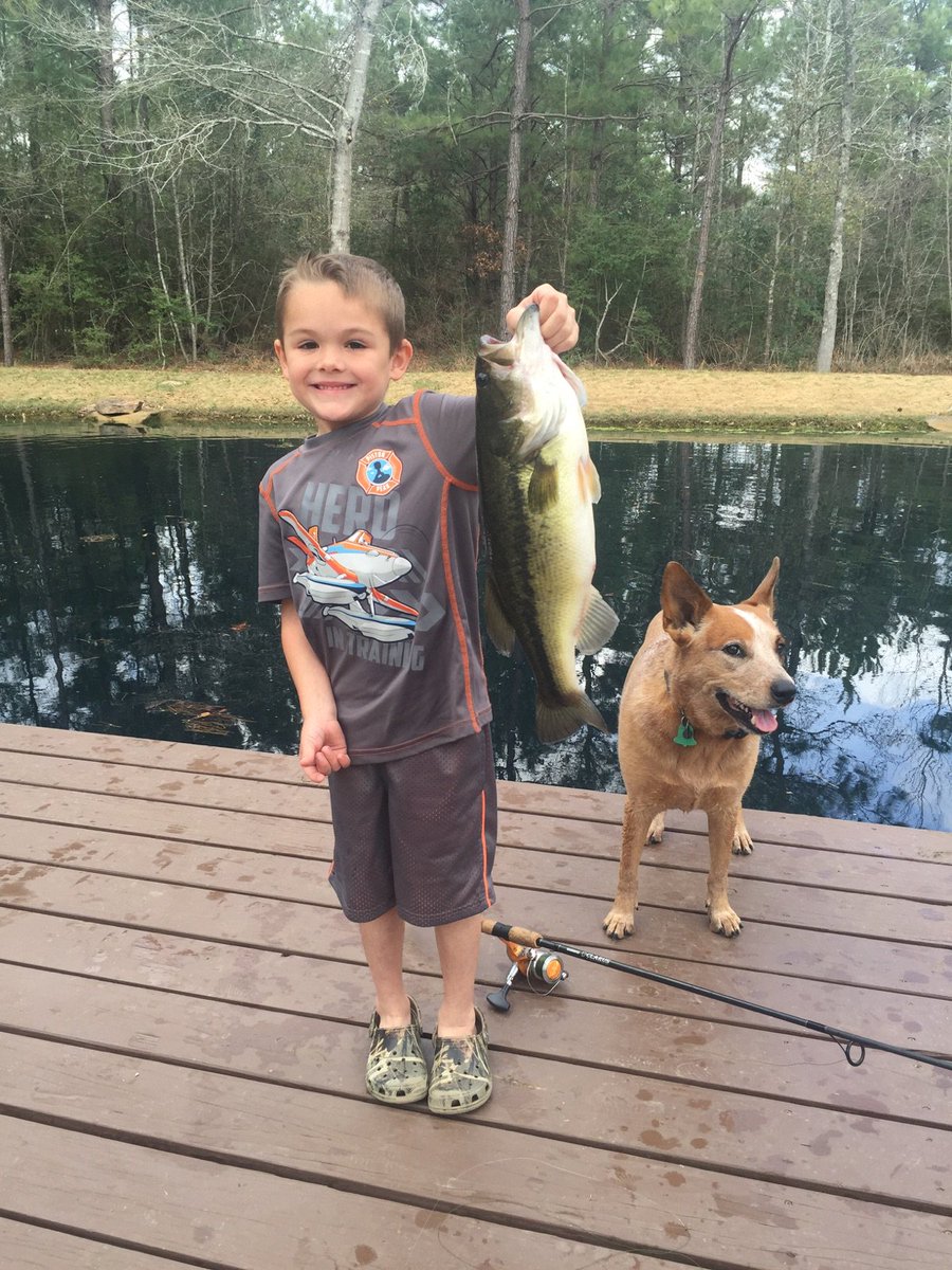 ClearwaterTX's tweet photo. Fish anyone?
https://t.co/eRrdOIzyuD https://t.co/3VW4AnMHLA