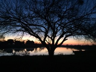 ClearwaterTX's tweet photo. Such a beautiful sunset.
https://t.co/zd2p1criEY https://t.co/V3pEcBPxhO