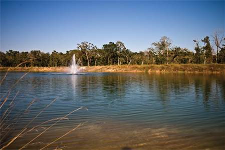 ClearwaterTX's tweet photo. After adding herbicide to the pond.
https://t.co/VFyS3lM19l https://t.co/udlnhqz5wm
