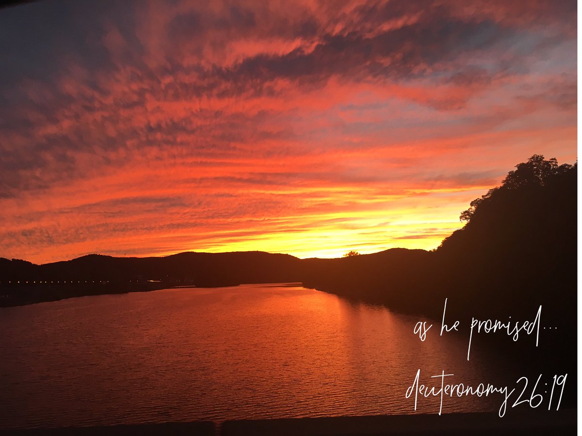 ktreth's tweet photo. love the beauty in my surrounding and the understanding of his promises! #truth https://t.co/0UM1OA5V4t