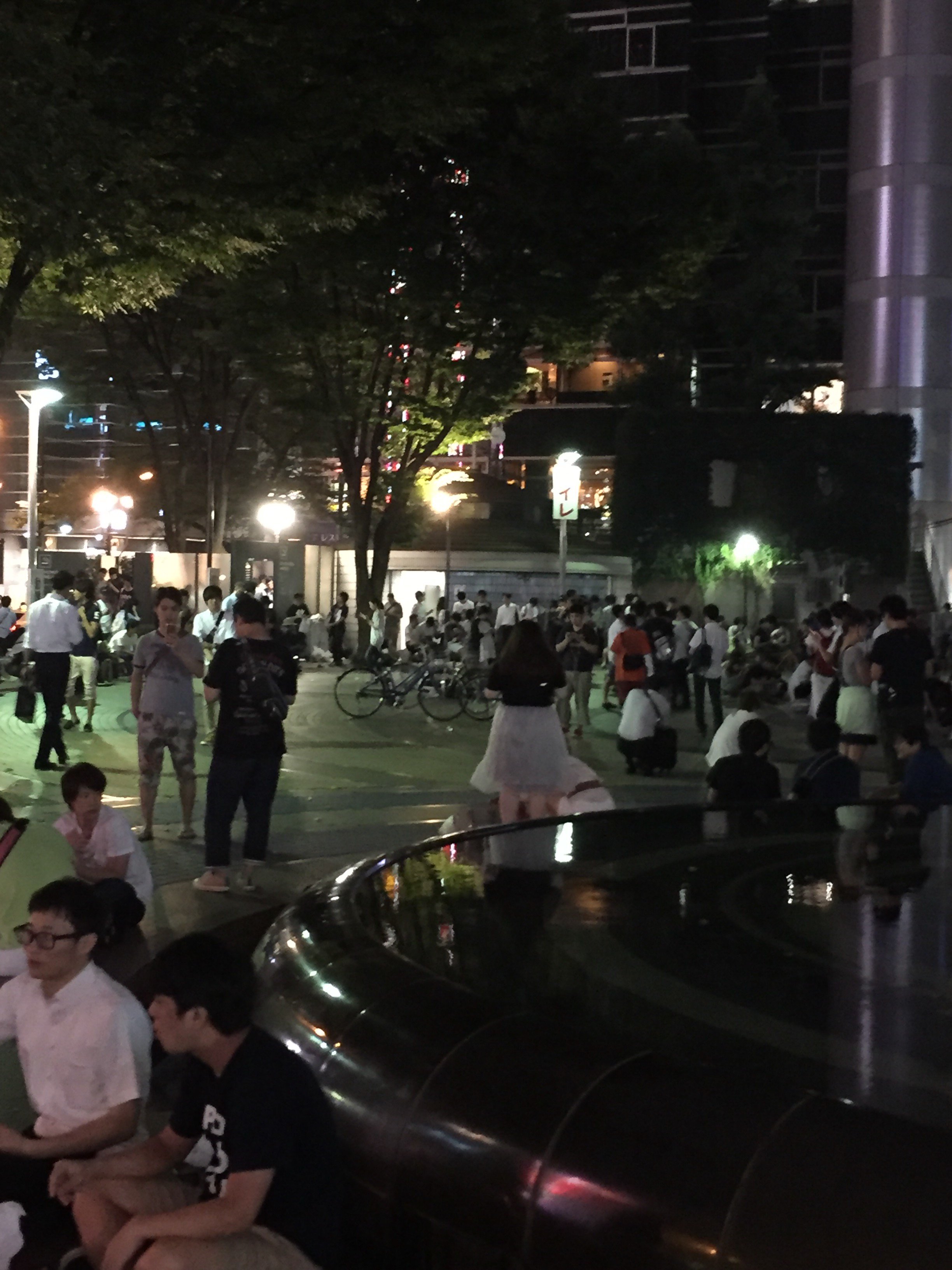 花田庚彦 夜はホームレス 昼間は手配師の聖地の池袋西口公園が ポケモンgoでキモい事に もう最終電車なのに T Co 49nvggu5vv Twitter