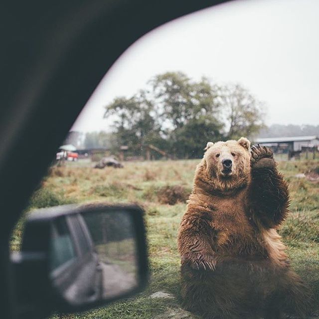 usemusecam's tweet image. Achieve the signature @FurstyPhoto look on your images by downloading the “Fursty” preset collection in #MuseCam.