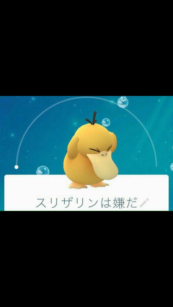 ちゅぱ太郎 コダックコラ大会きそうだな ポケモンgo コダック T Co Pgnap9kjsd Twitter