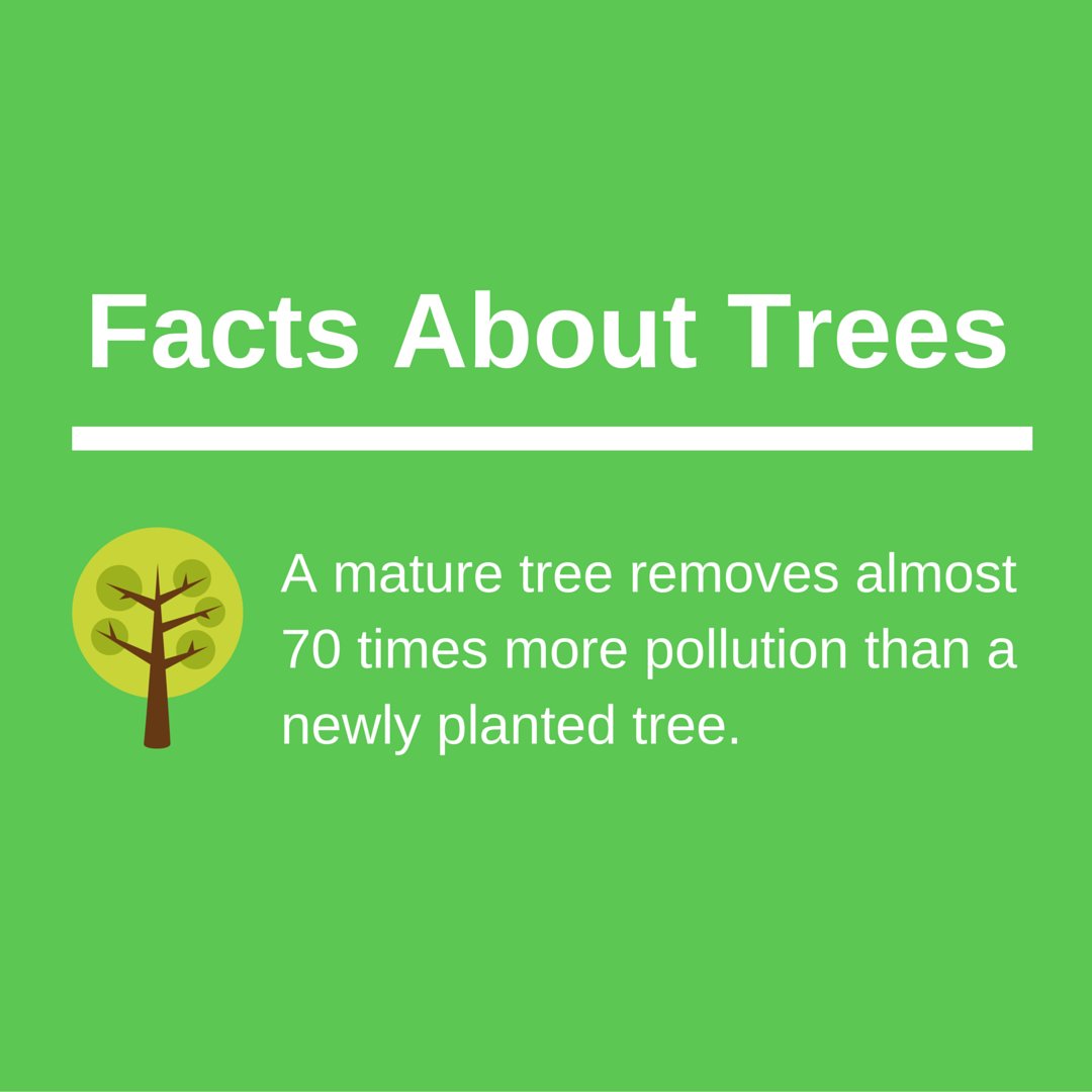 keepforests's tweet image. Share To Help Promote Awareness About Forest &amp;amp; Wildlife Conservation: KeepForests.com