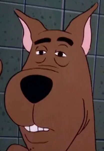 FishDickGreaser's tweet image. //I came online and just feels

No I'm