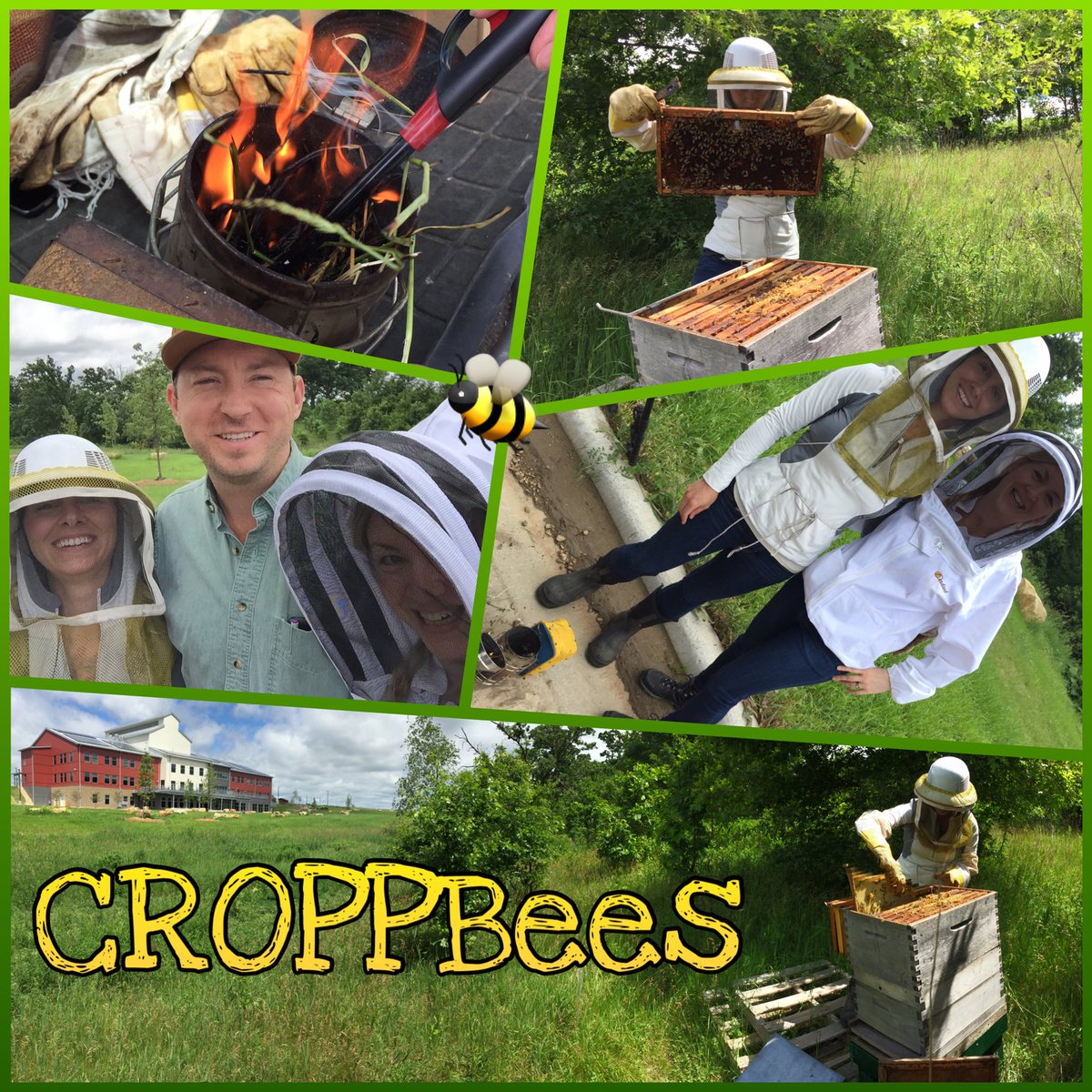 Fun fact: We run our own bee hive here at <a href="/OrganicValley/">Organic Valley</a>!  #CROPPBees #SaveTheBees