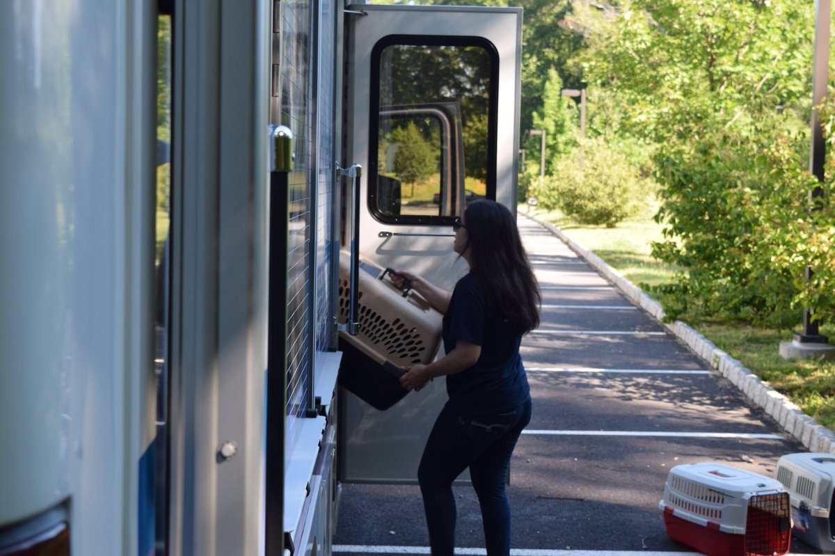sthubertsanimal's tweet image. And he&apos;s off! #TheZephyr is off to pick up some new friendly faces. Thanks to Joan R. for sponsoring today&apos;s ride.
