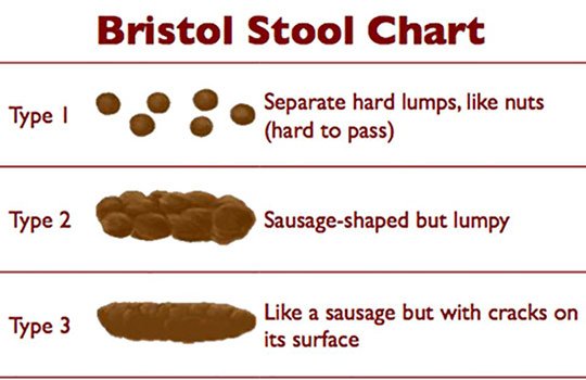 Bristol Stool Chart Images