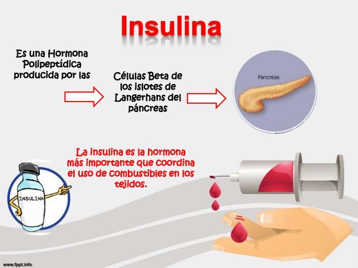 Desayunos para resistencia ala insulina