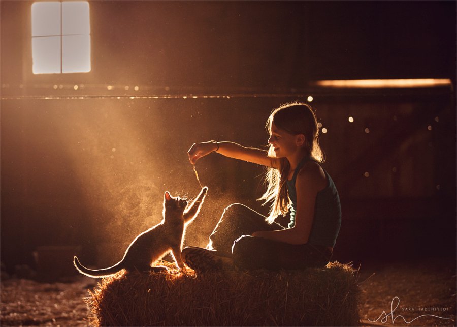500px's tweet image. 2 days left to enter your #Color #Filters & #Light photos to win a @LIFX prize pack: goo.gl/Dx0SjE