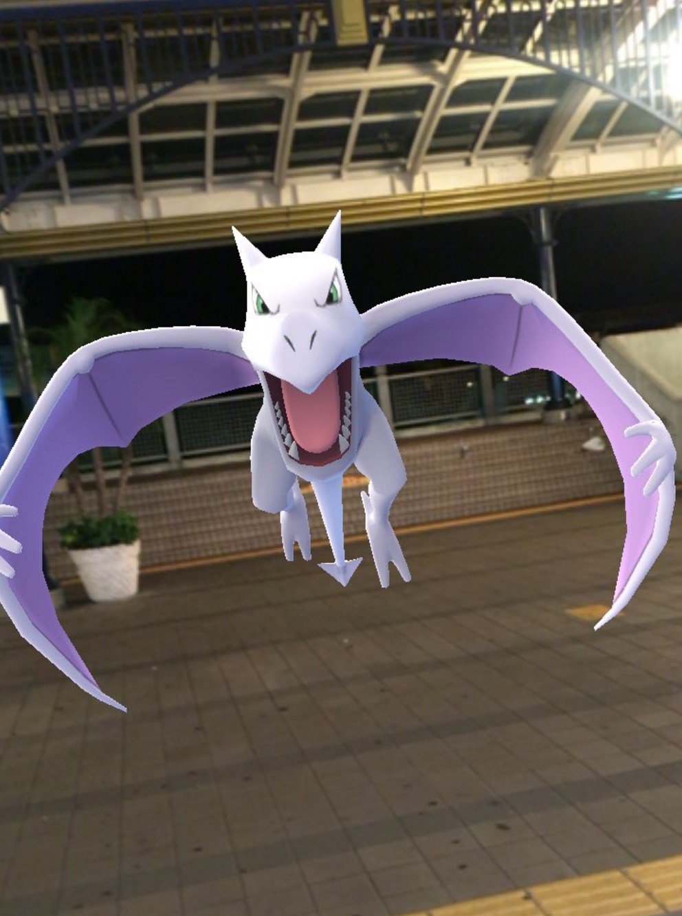 ポケモンの巣 プテラ Twitter Search Twitter