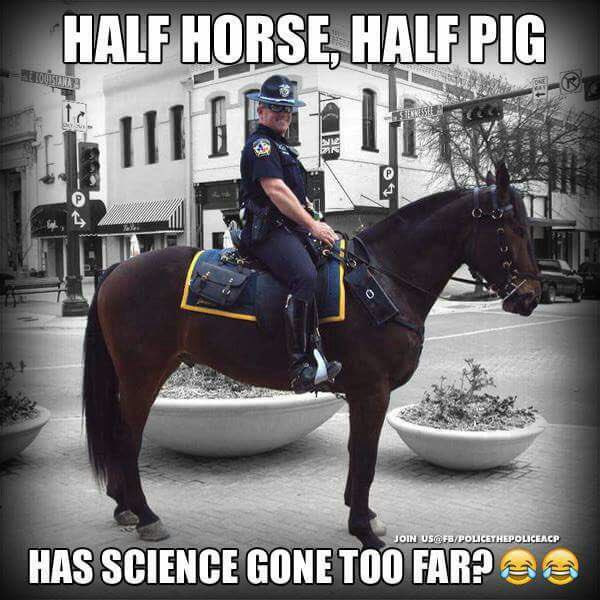 DTOMemes's tweet photo. BEWARE THE CENTAURS https://t.co/9GySEt1sdH