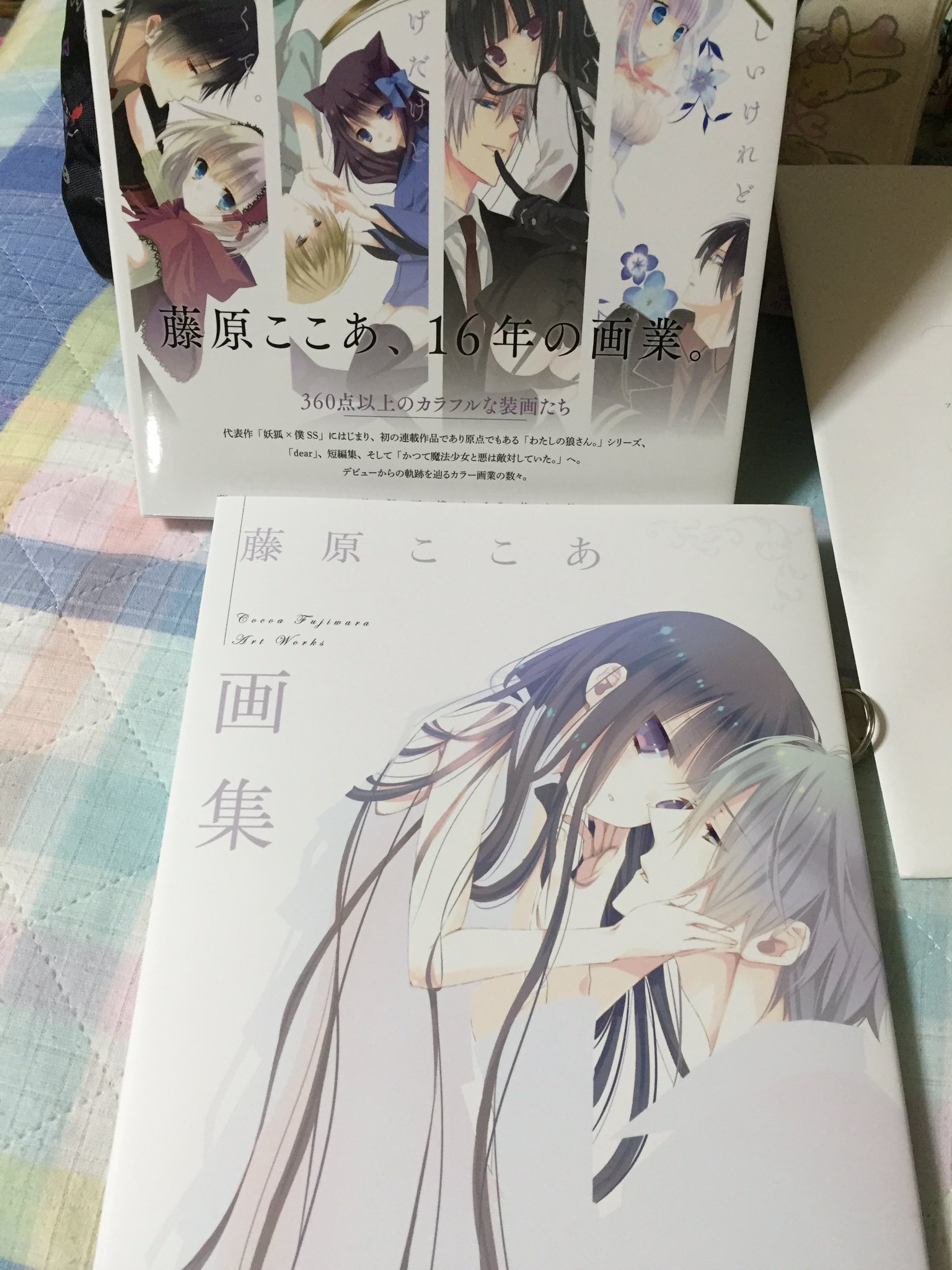 いぬぼく　まほあく　キャンバスアート Amazon.co.jp: かつて魔法少女と悪は敵対していた。 妖狐×僕SS