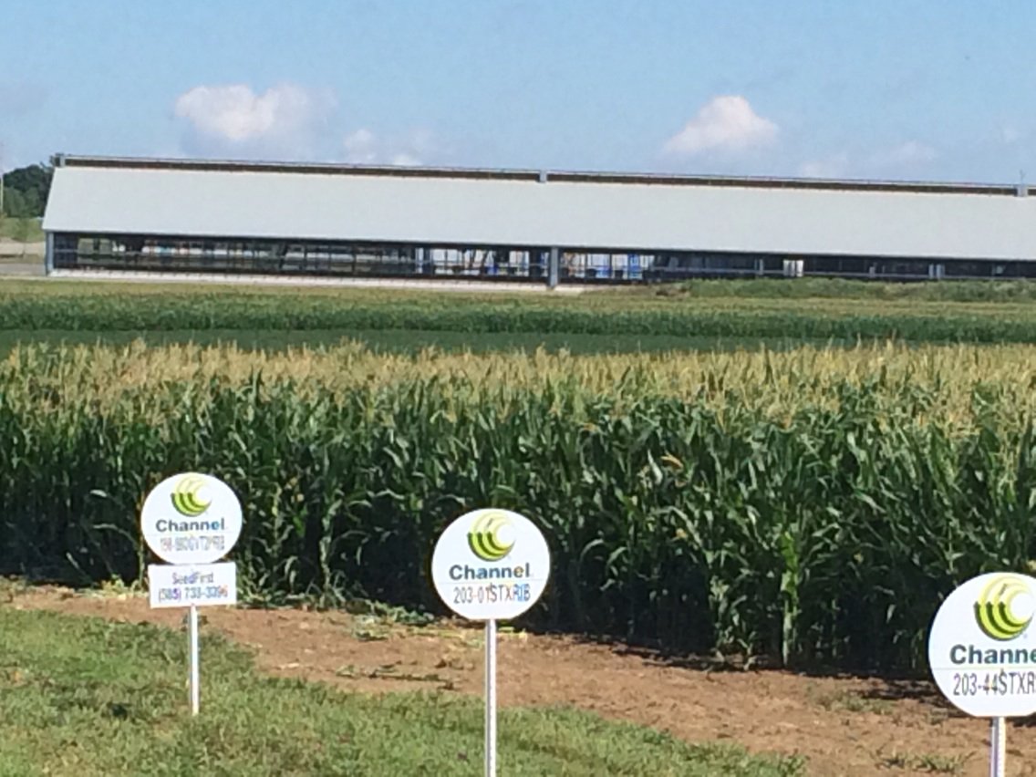 seedgreg's tweet image. Plot looks good