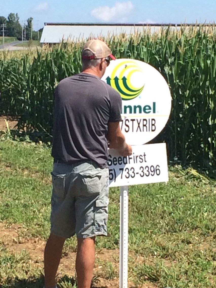 seedgreg's tweet image. New DSM  @ work