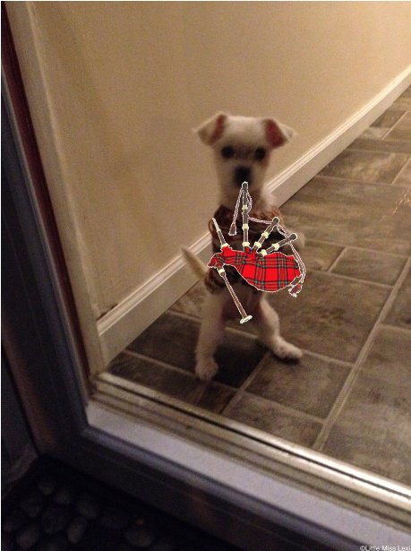 LittleMissLexi8's tweet image. Happy Bagpipe Appreciation Day! #bagpipeislife #musicianatwork