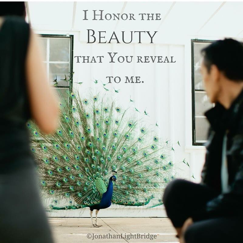 j_lightbridge's tweet photo. The way others see me is directly related to how much I wish to be seen.#shine #beauty
Photo:@sheofthewoods https://t.co/d089gKP6LL