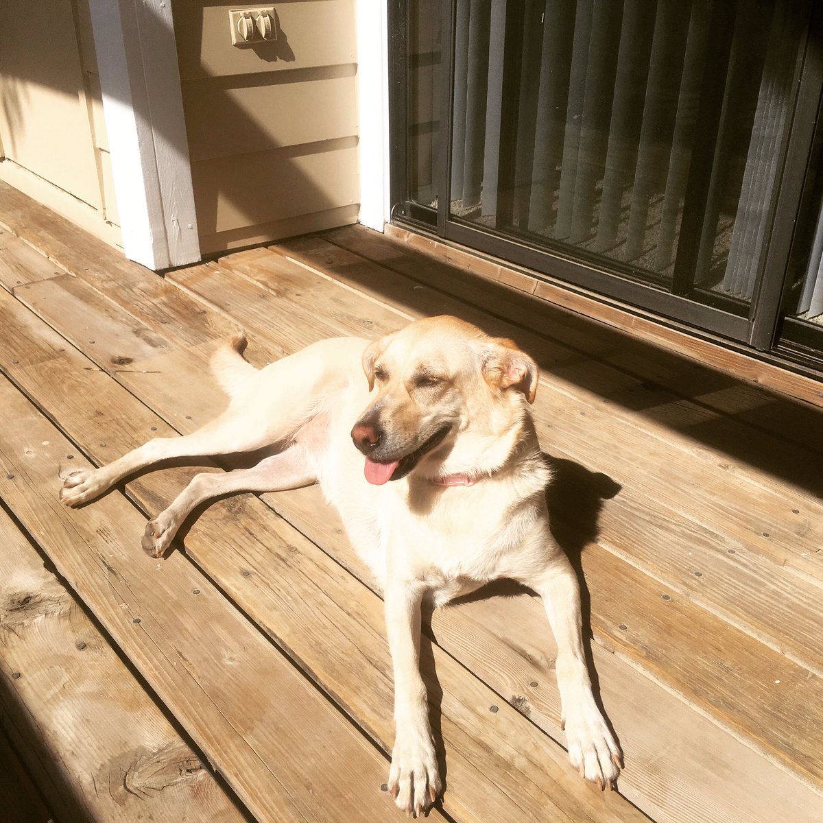 Greece Retreats! tweet media