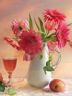 Nkechi Elegbusi .O. tweet media