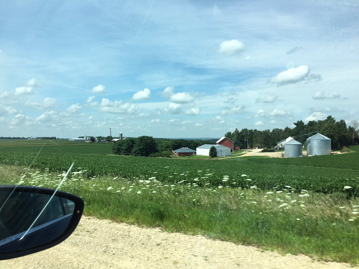 LoganHarville's tweet photo. Iowa is like driving down Buffalo Rd in Stown/Ethridge on steroids #cornfieldsfordays🌽 https://t.co/TlttacFeQy