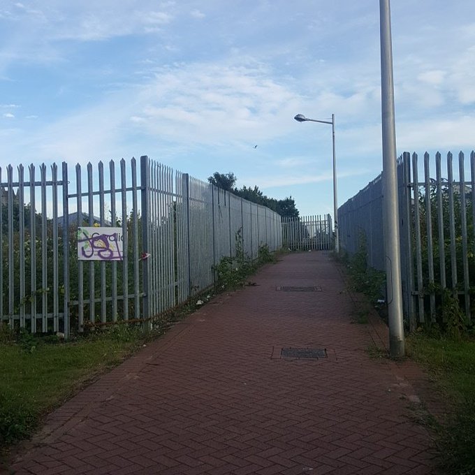 View image on Twitter