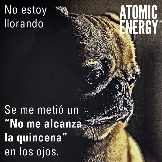 #SiLasMatemáticasNoFallan