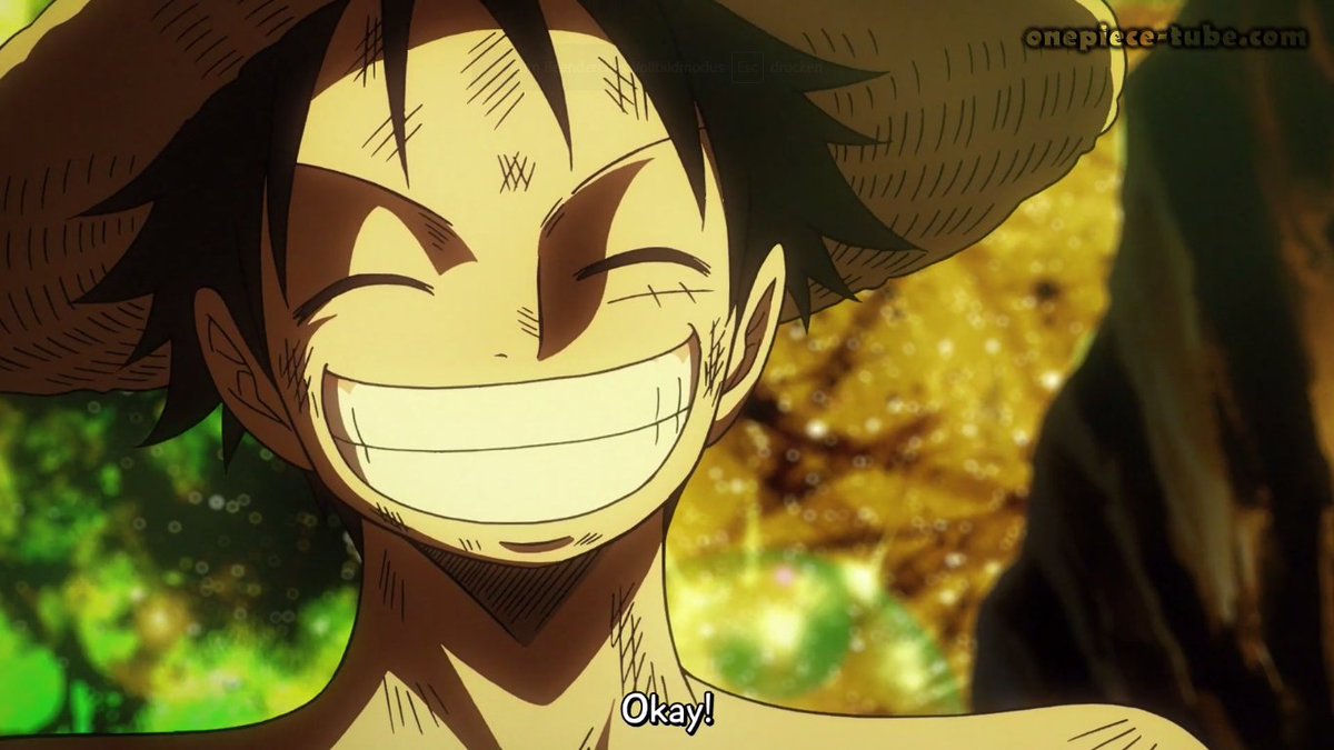 Rubber Luffy on X: One Piece Heart of Gold #Anime   / X