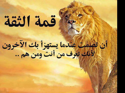 845ea87e12e9423 tweet picture
