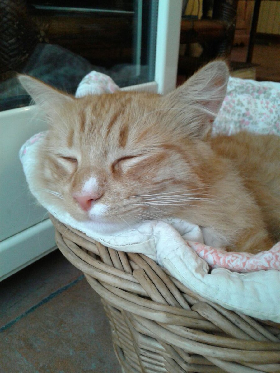 Buonanotte!!! Vi penso sempre!!