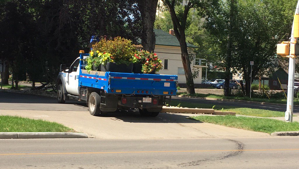 Macgyyver's tweet photo. Yay! Planters being delivered to the 'hood! #prettypots https://t.co/B30JBPJmf2