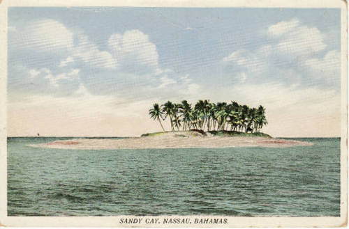 Bikini Machine tweet media