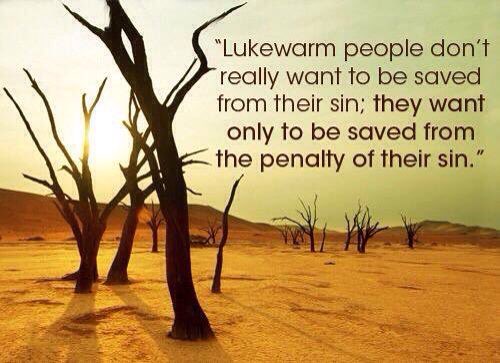 Tim425Smitty's tweet image. 