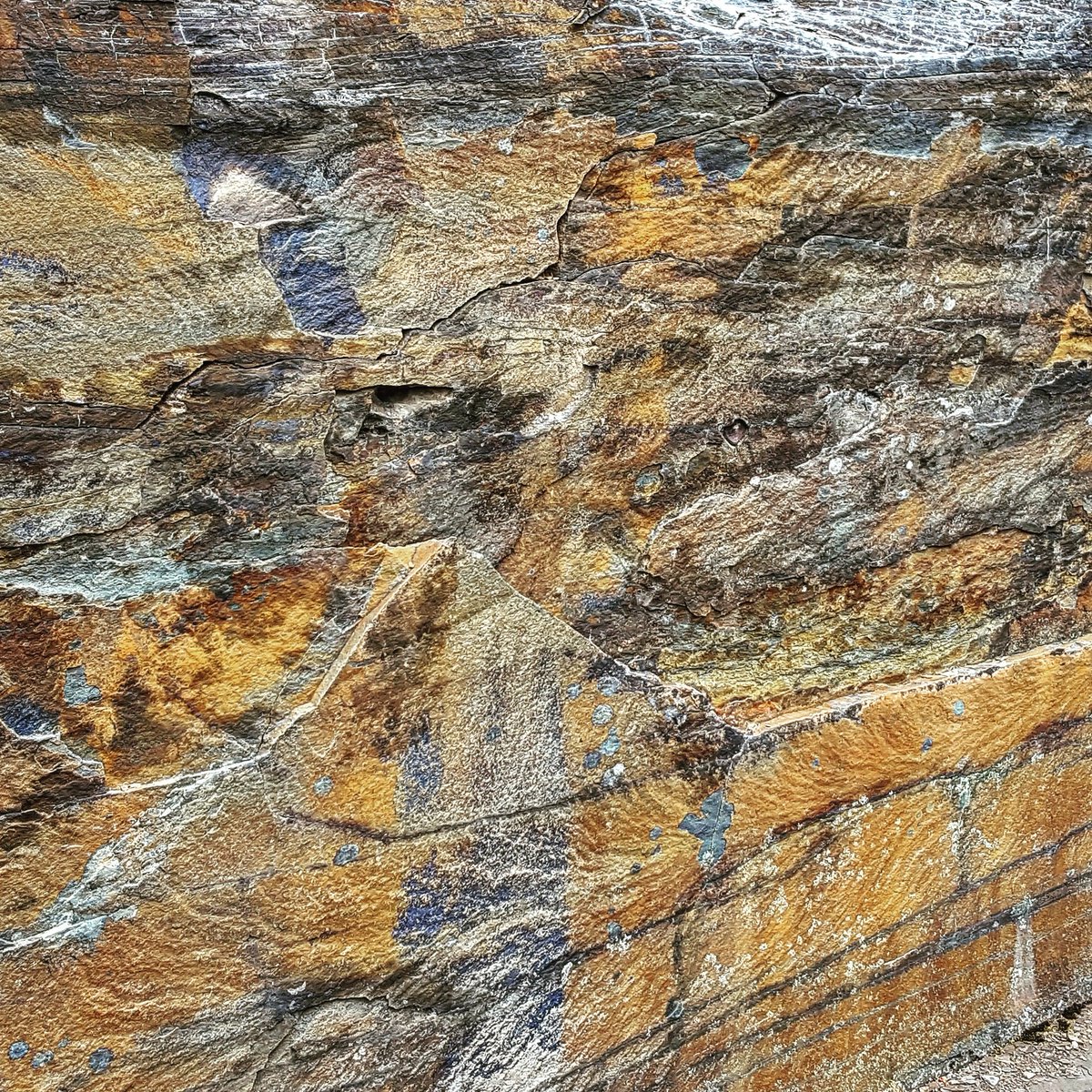 #rock #DemsInPhilly #NewYork #sun #outdoors #rice #food