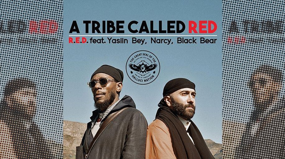 Brandy Campbell (brandycam) Twitter