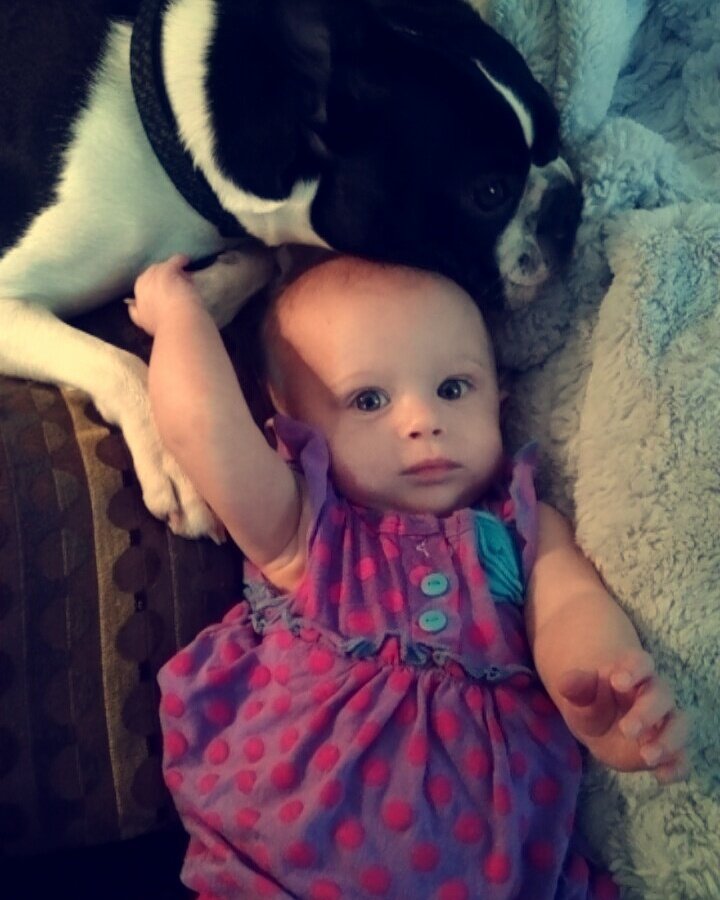 EmmyAbudFogle's tweet photo. https://t.co/ZclKBZd0oi