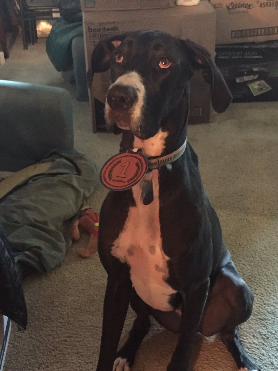 ShorbKim's tweet image. Yeah we love our BarkBox❤️@barkbox #worldchompian