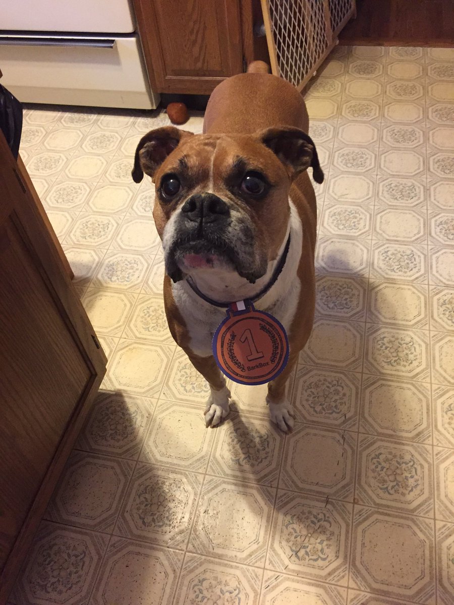 ShorbKim's tweet image. Yeah we love our BarkBox❤️@barkbox #worldchompian