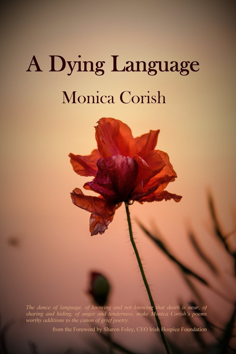 ocinneide69's tweet photo. Monica Corish reading: A Dying Language 8pm Thursday 28th July Sligo Methodist Church @Yeatssocietyirl @YeatsSchool https://t.co/UzTySlX9rD