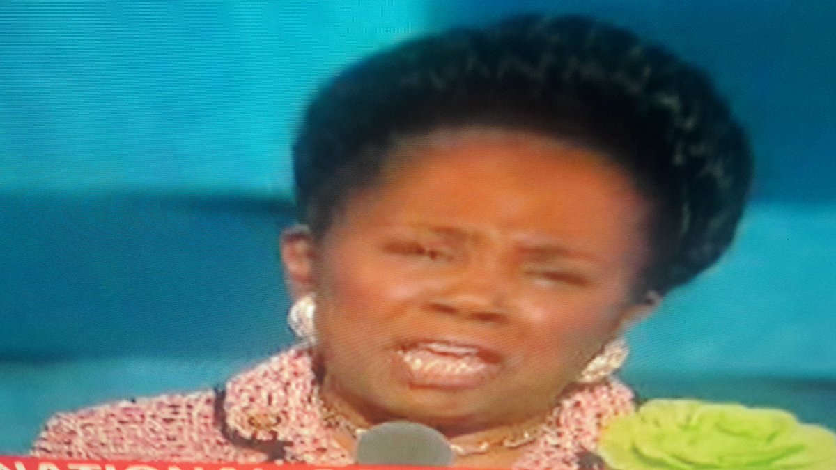 Derp: Sheila Jackson-Lee claims holding an AR-15 is like as heavy as 10 boxes that you might be moving