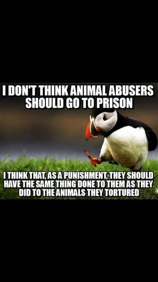 Amen!!!! #lulubeangifts #bubbarose #doggifts #dogpackages #bestfriends #dogsoftwitter #celebrateyourdog