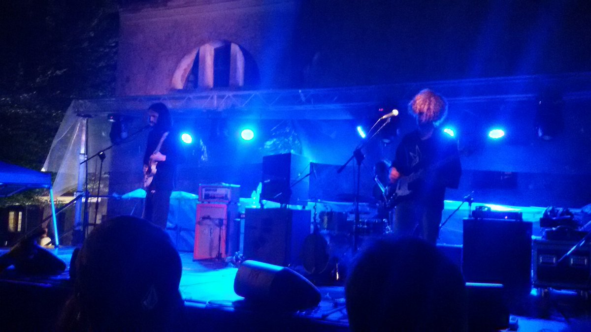 leoamt's tweet image. Zebra ❇ #yessfest