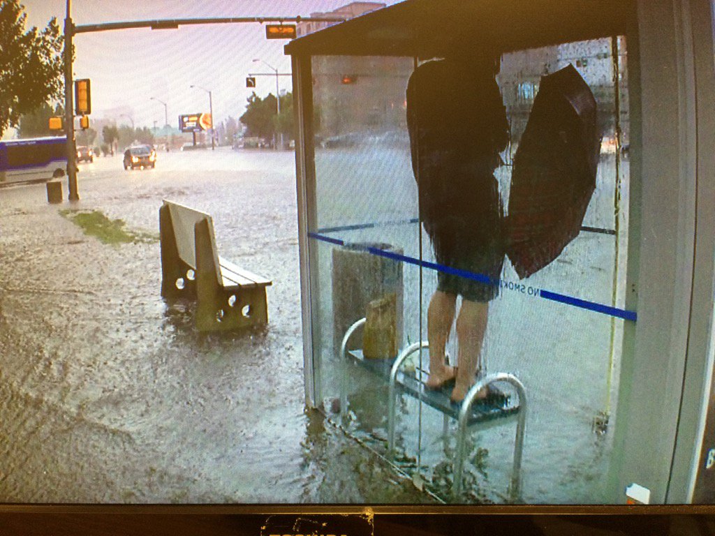 photoboy99's tweet photo. MONSOON !
Crazy #yegwx 104 ave busshelter @ctvedmonton @joshclassenCTV https://t.co/236xGY61yE