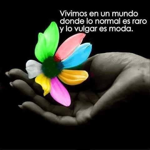 Imagen relacionada